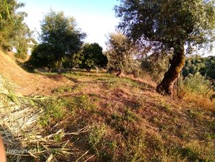 Terreno Urbano - Grande imagem: 3/5