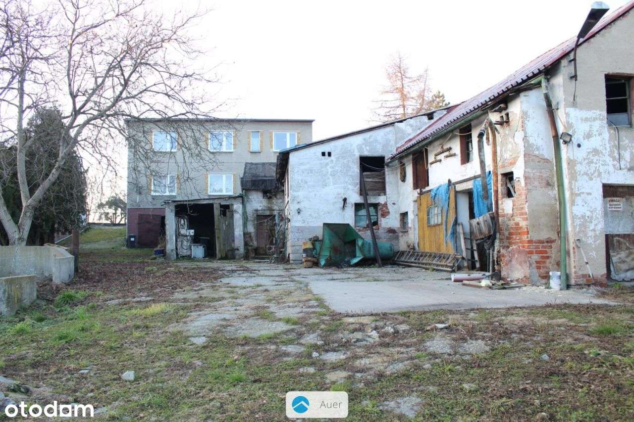 Pawłowiczki – dom z lat 80-tych, działka 29 arów - Pełny obrazek: 3/20