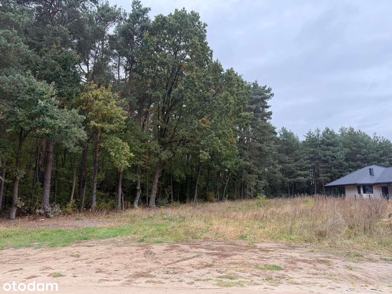 Działka Serock Marynino ulica Cedrowa-0