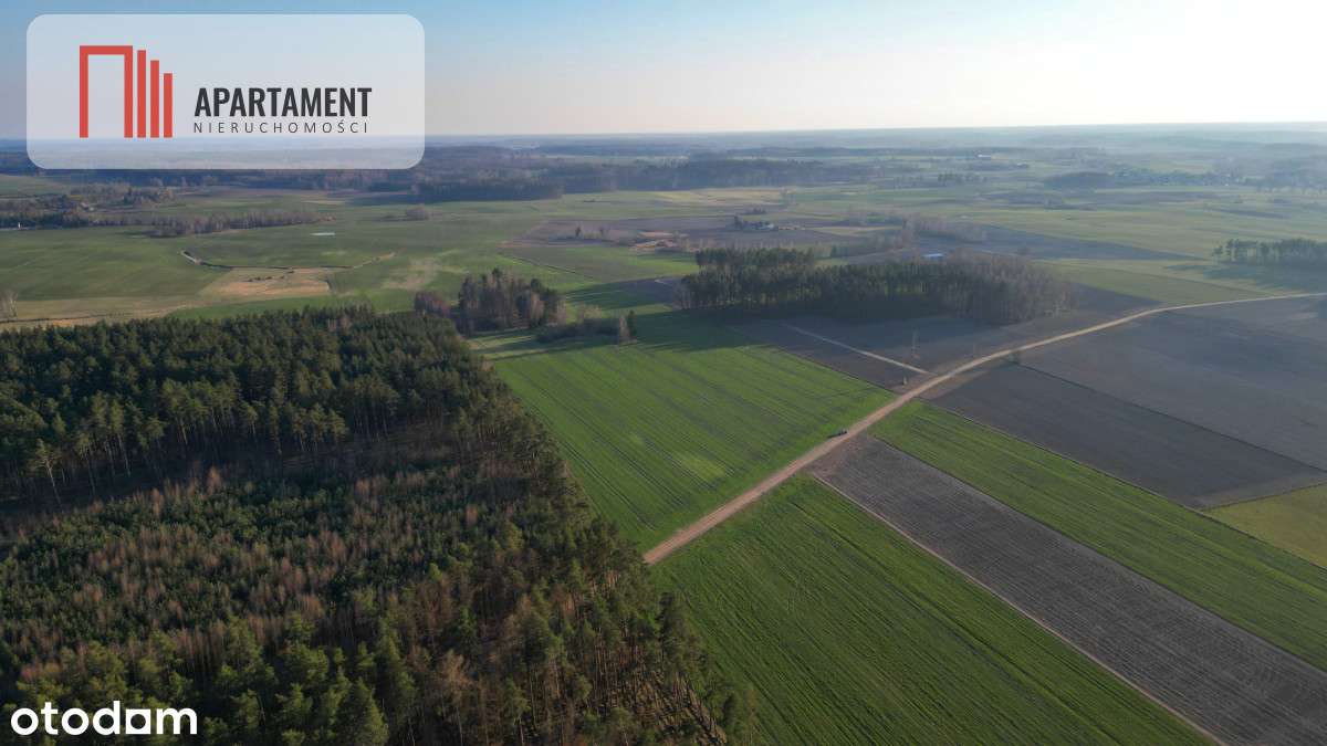 Siedlisko, 5,9 ha, pod inwestycje - Pełny obrazek: 2/14