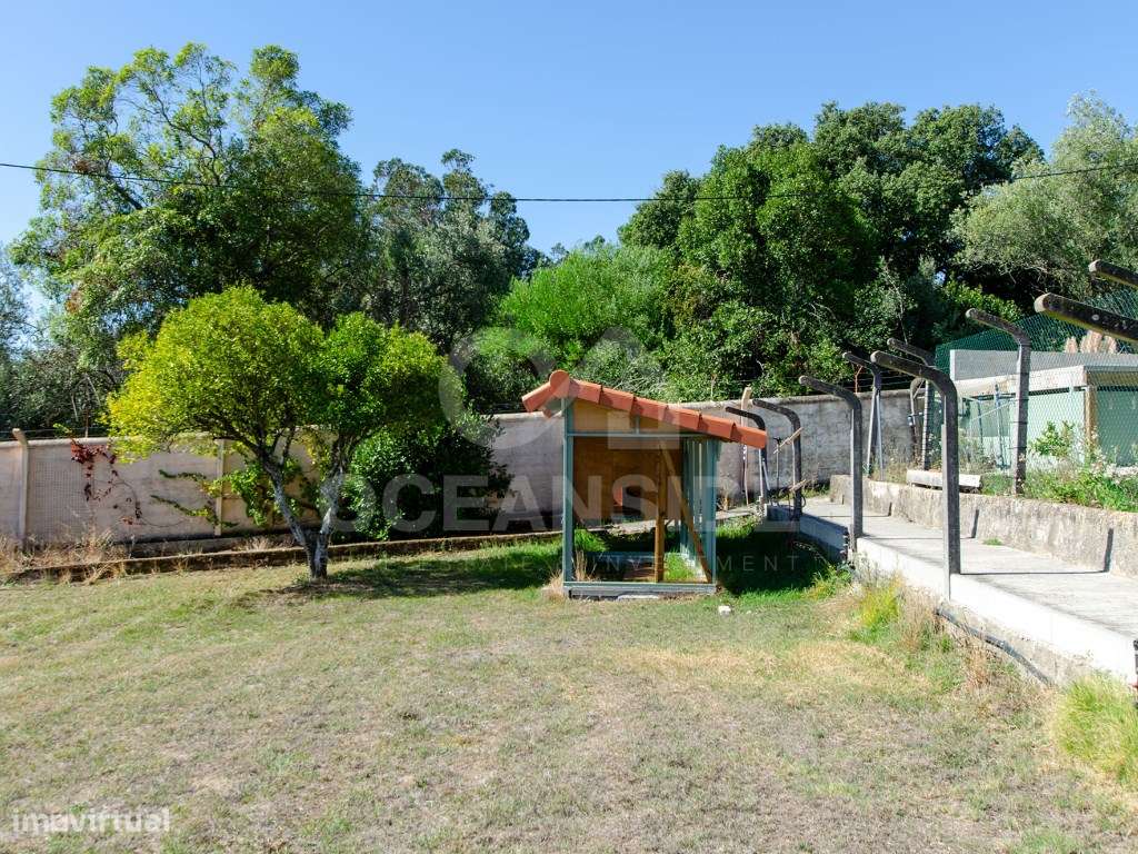 Quinta em Serradas, com terreno de 17.000m²-45