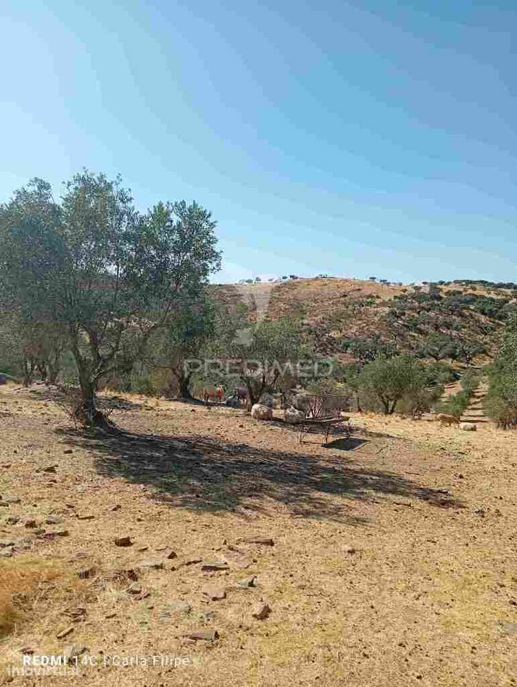 Courela - Grande imagem: 5/12