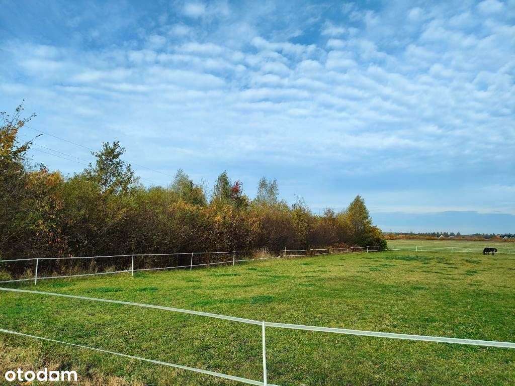 Super działka inwestycyjna blisko Warszawy - Pełny obrazek: 5/7