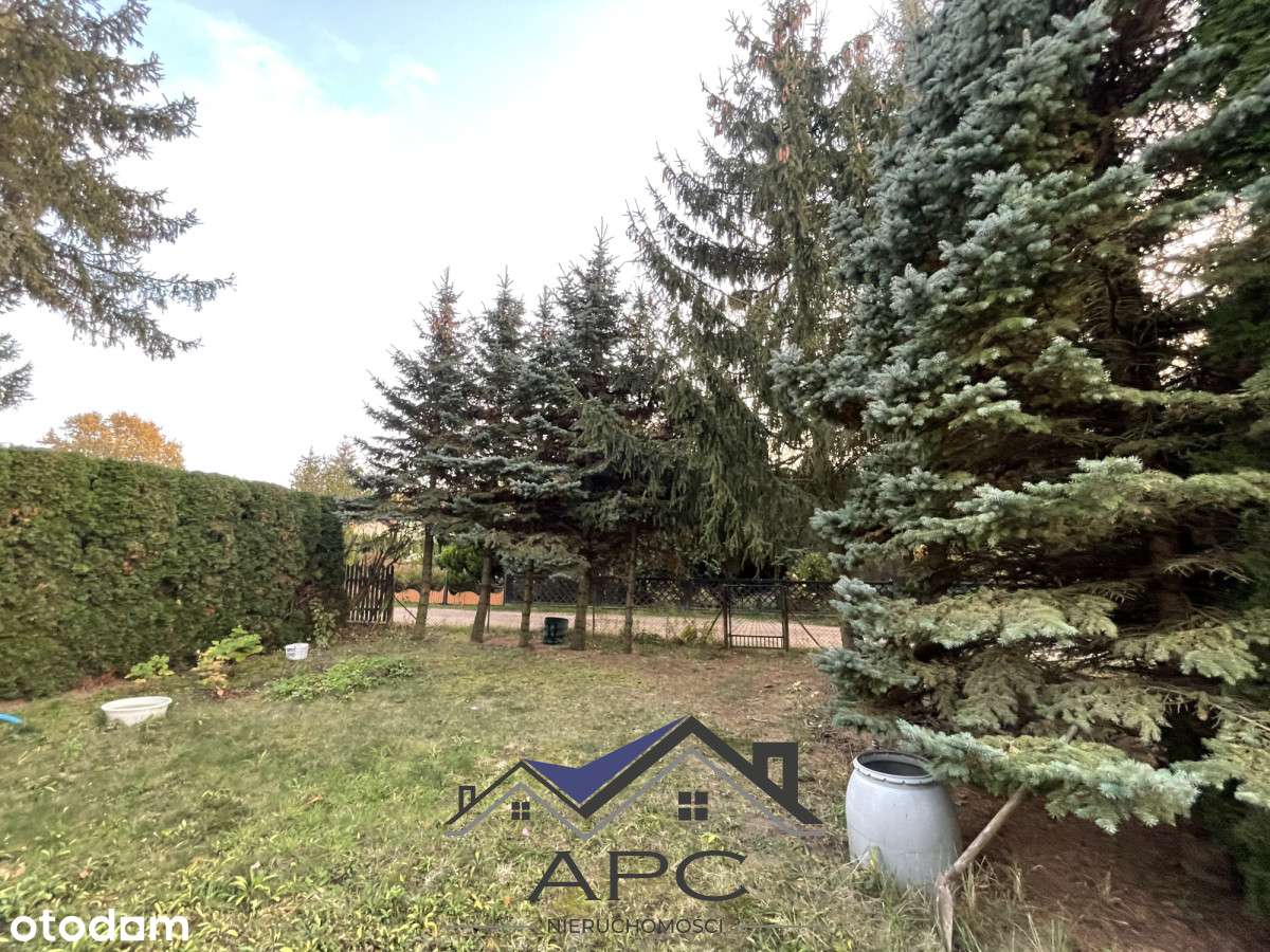 Twój Własny Kawałek Zieleni blisko Poznania-3