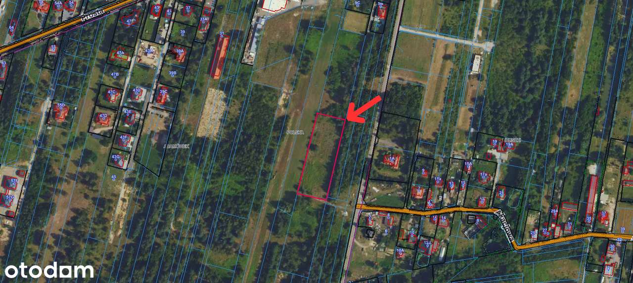 Atrakcyjna działka budowlana blisko Warszawy ADAMÓWEK gm. Czosnów - Pełny obrazek: 5/7