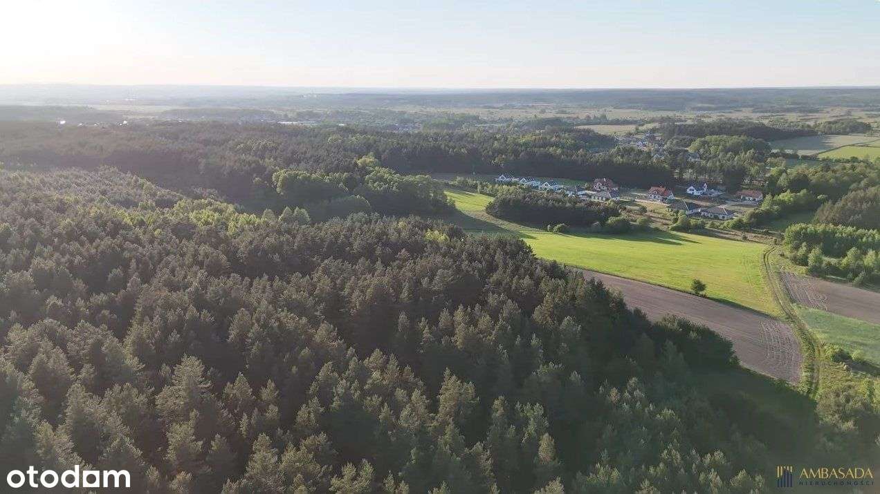 Działka W Sąsiedztwie Lasu - Pełny obrazek: 5/5