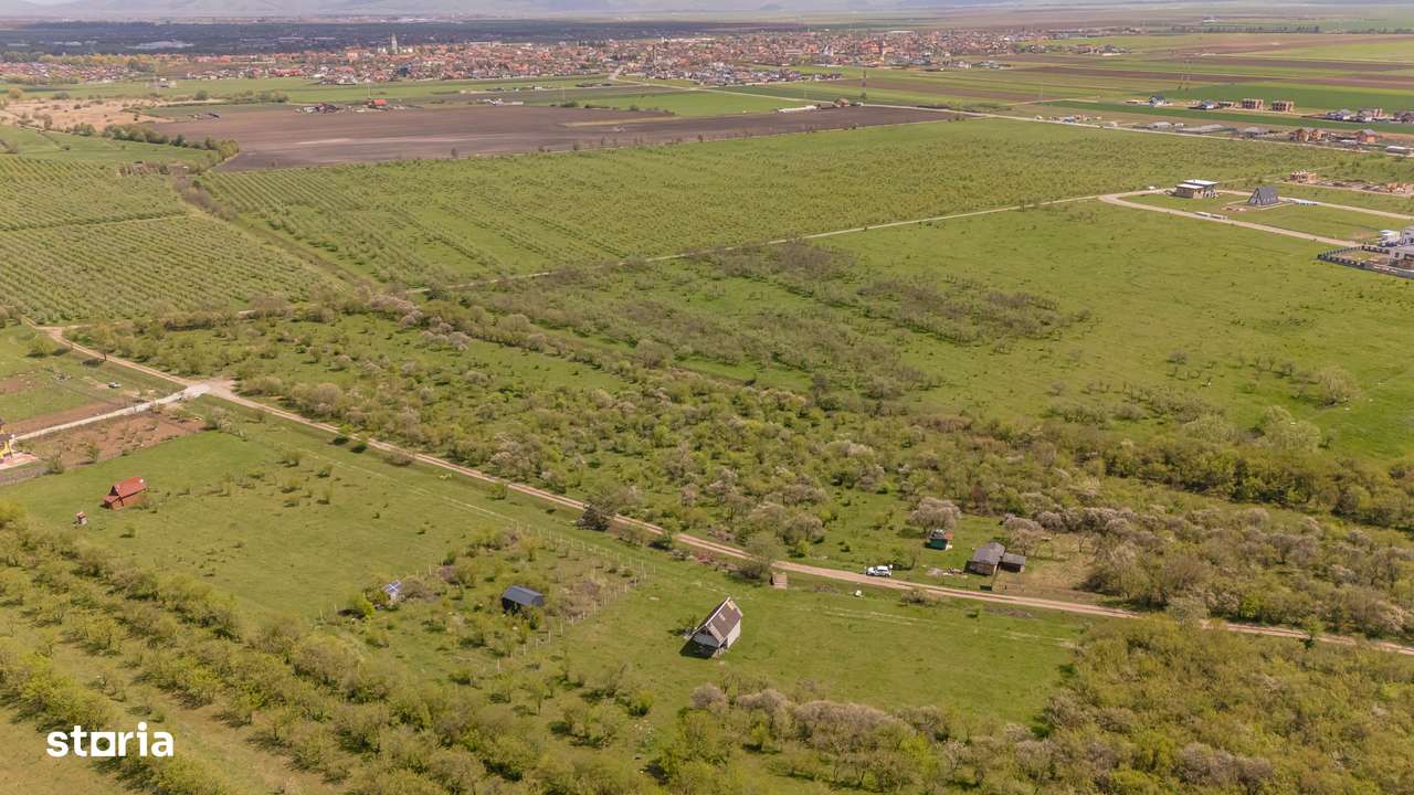 Teren vânzare 2717 mp/Sanpetru lângă dealul Lempes - Imagine principală: 5/8