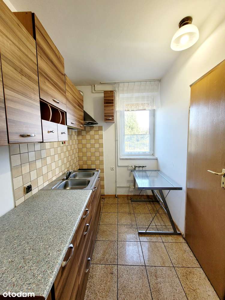 Dom z dużą działką, idealny dla rodziny-12