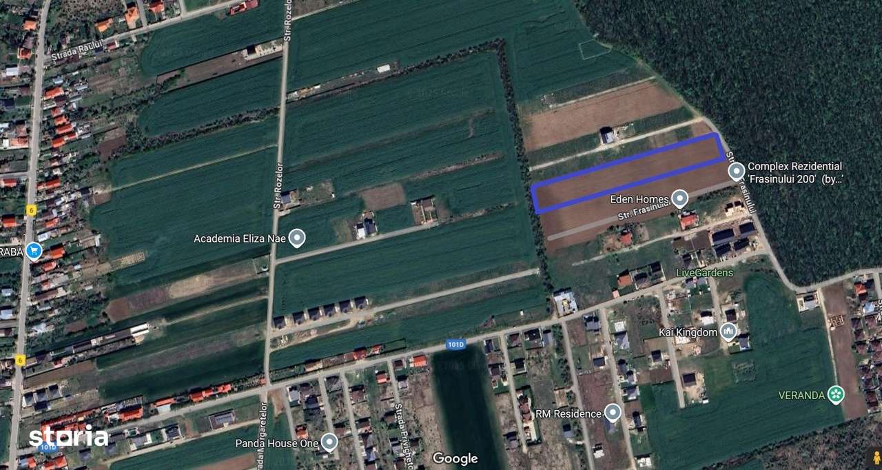 Balotesti- Dumbraveni- Padure - Imagine principală: 3/3