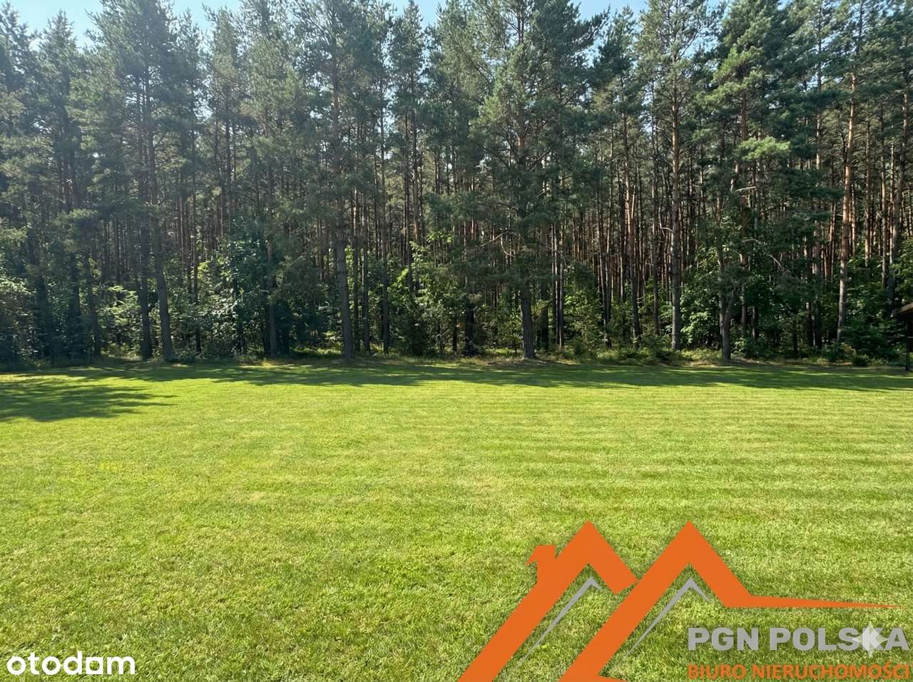 Twój dom pod lasem | Kiszewo | Blisko rzeki Warty | Duża działka-4