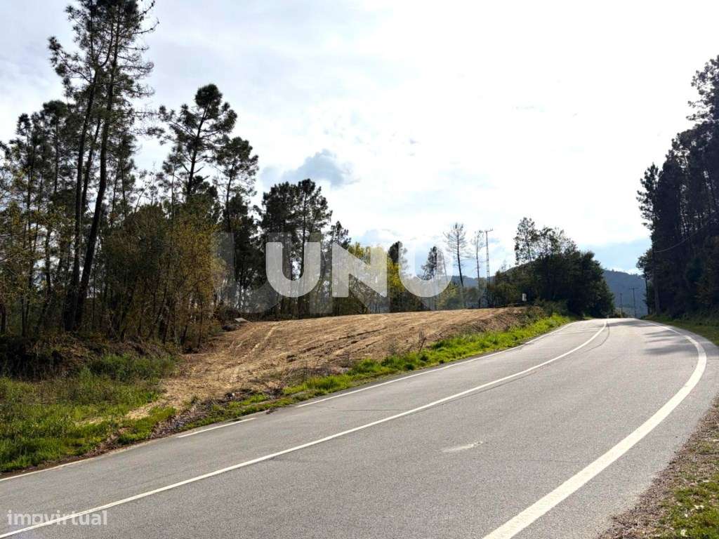 Terreno Rústico - Envolvente de Natureza - Grande imagem: 2/20