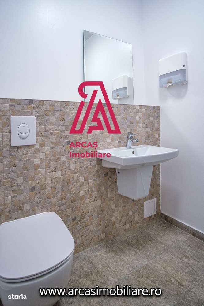 Afacere la cheie! Resedinta de lux- statiunea Paltinis!-19