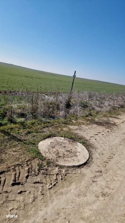 Teren intravilan cu o suprafata 1500 mp in zona Metro - Imagine principală: 5/5