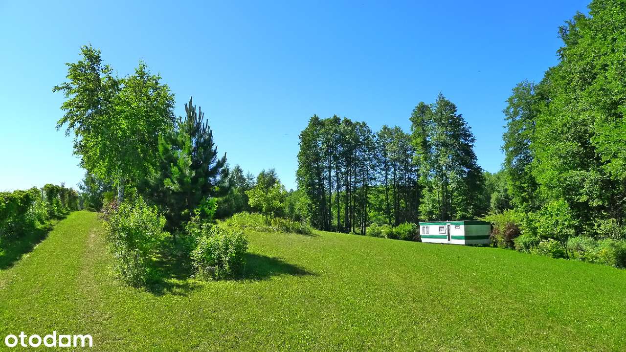 Filipów - domek koło jeziora i lasu - Pełny obrazek: 5/20