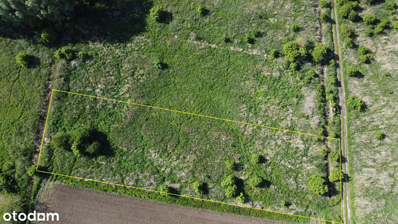 Duża działka Nad Starą Radunią - 13 min. od Centrum Gdańska - Pełny obrazek: 2/11