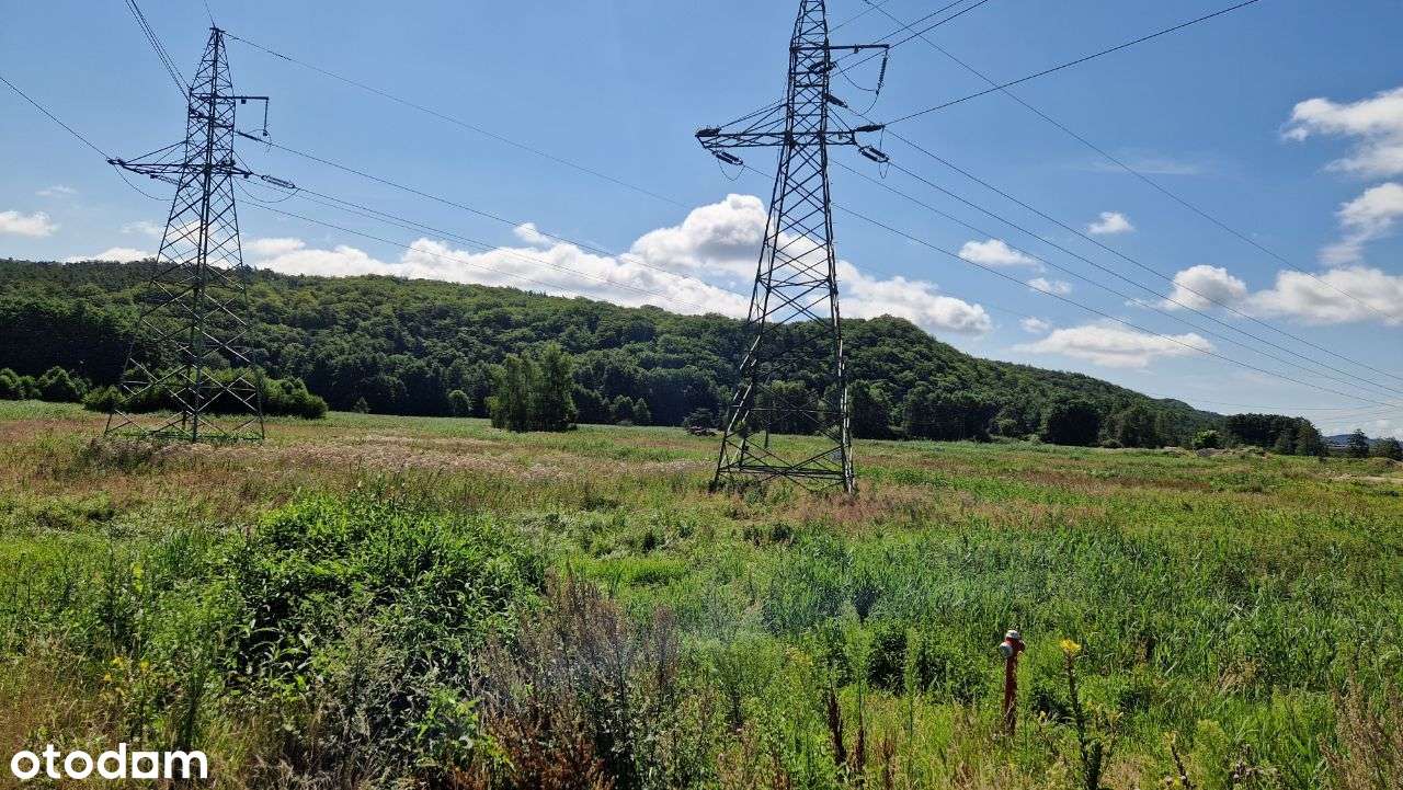 Grunt inwestycyjny na wjeździe do Międzyzdrojów - Pełny obrazek: 5/8