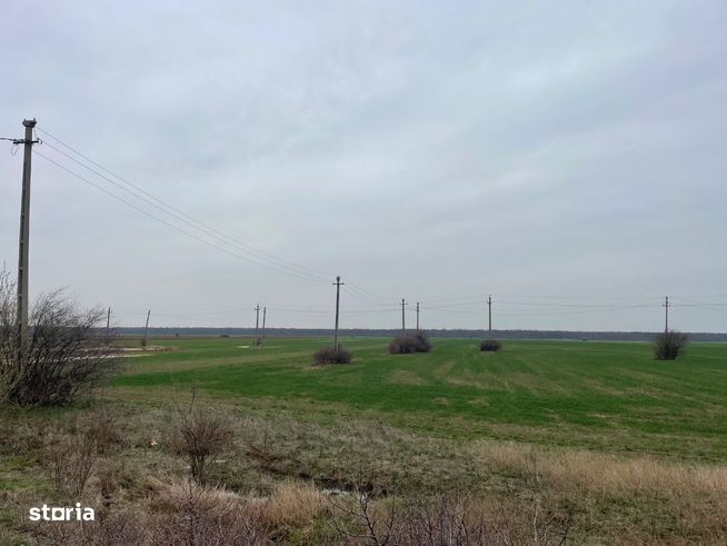 Giurgiu -Marsa Teren Agricol 8.5 Ha Deschidere 80m-5