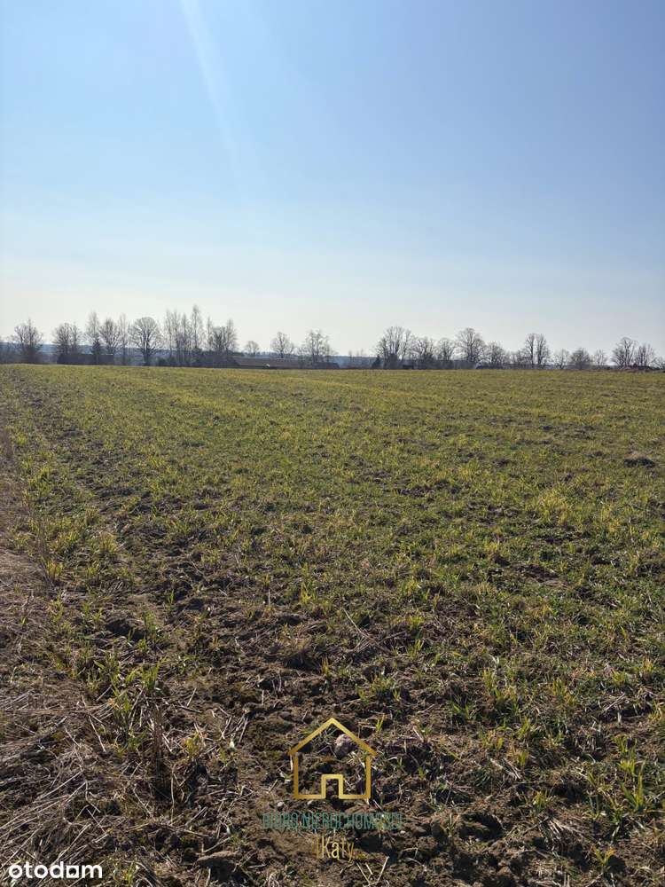 Promocja!!  Działki rolne z Mpzp 3121 m2 Perlino-5