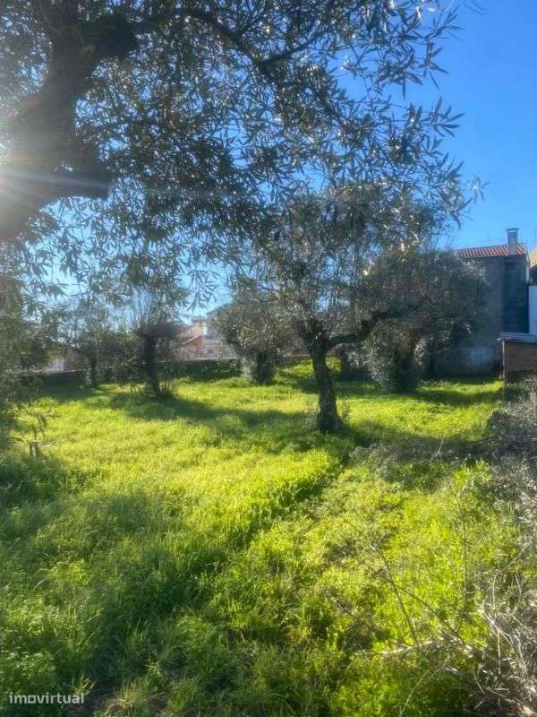 Terreno - Grande imagem: 1/5