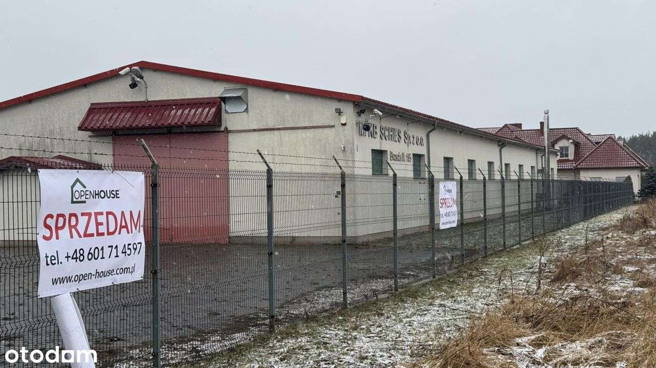 Działka, 28 512 m², Brzeźnik-5