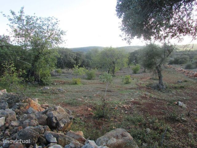 Terreno com Projeto Aprovado Para Venda – Tôr (Loulé)