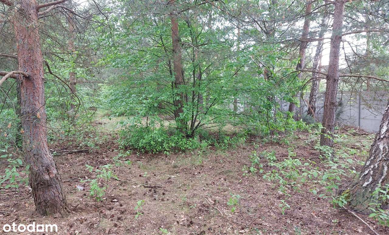 Działka budowlana Wygoda - Pełny obrazek: 5/5