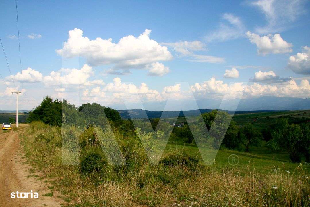 Teren de vanzare in Daia, Sibiu – 600 mp, priveliste superba spre mu - Imagine principală: 3/5