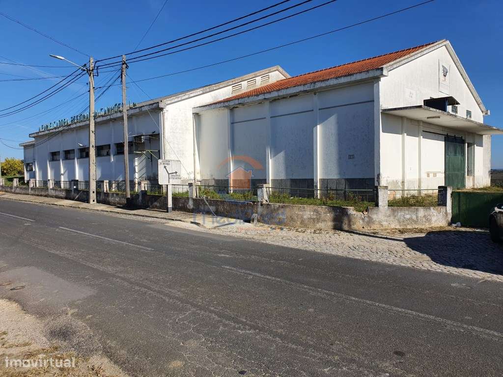 Armazém com 1.000 m2 em terreno urbano | Alcanhões, Santarém - Grande imagem: 4/9