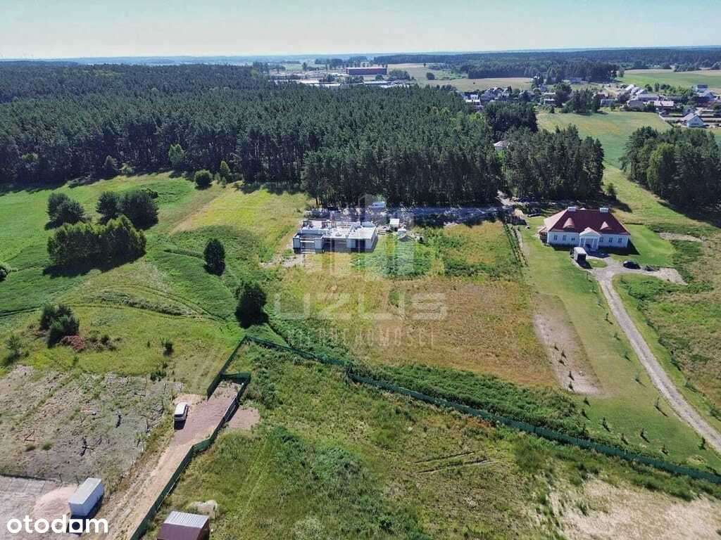 Działka w otoczeniu lasu - Pełny obrazek: 4/9