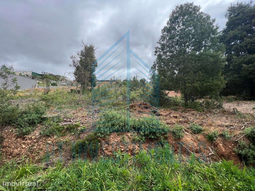 Lote para construção em Águeda - Grande imagem: 4/4
