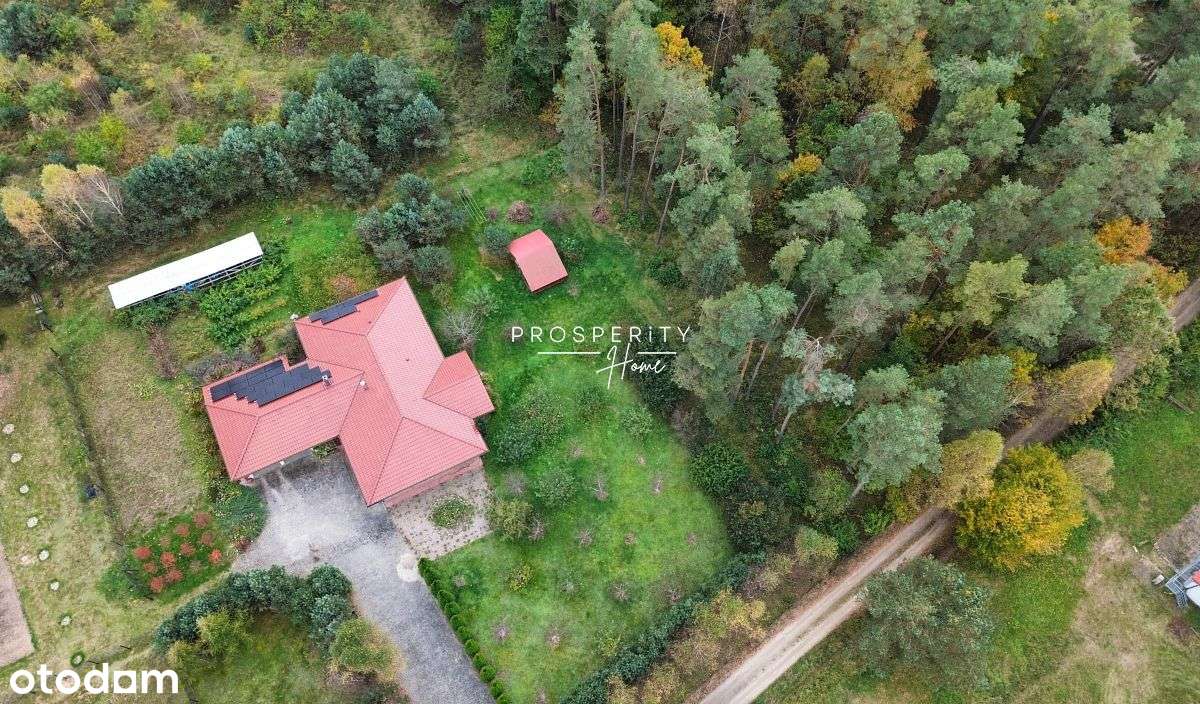 Dom z prywatnym lasem - przestrzeń, cisza i natura - Pełny obrazek: 4/20