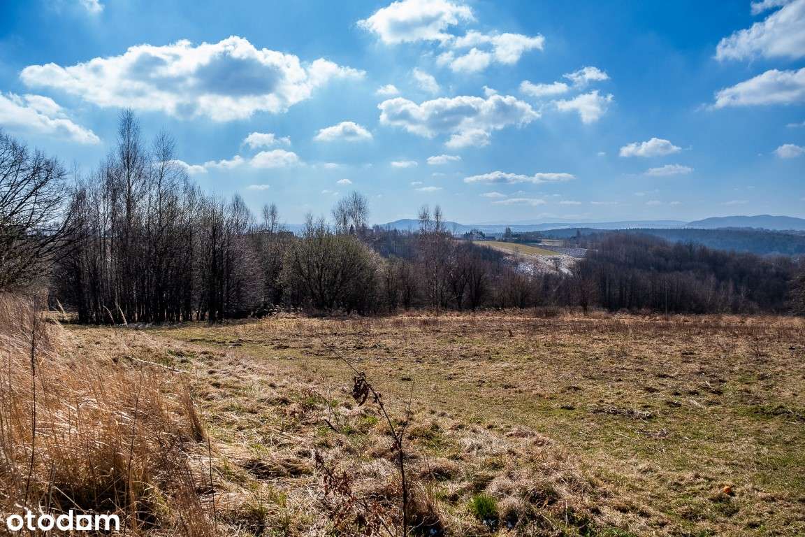 PnB, media, PUM 4864 m² – 1,59ha pod 37 domów, Przytkowice, na wzgórzu-15