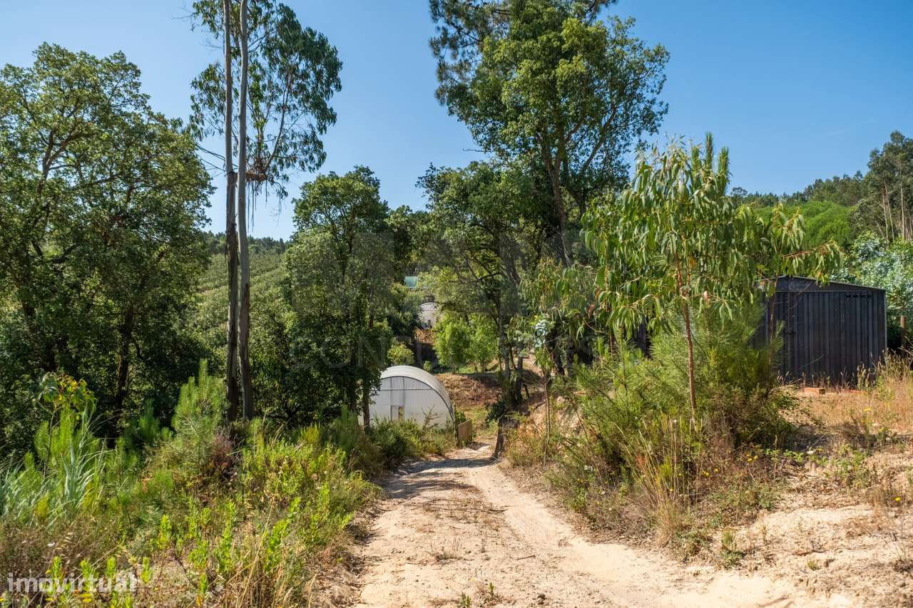 Terreno Agrícola na Fanadia | 16.100 m² de Potencial e Infraestrutu...-29