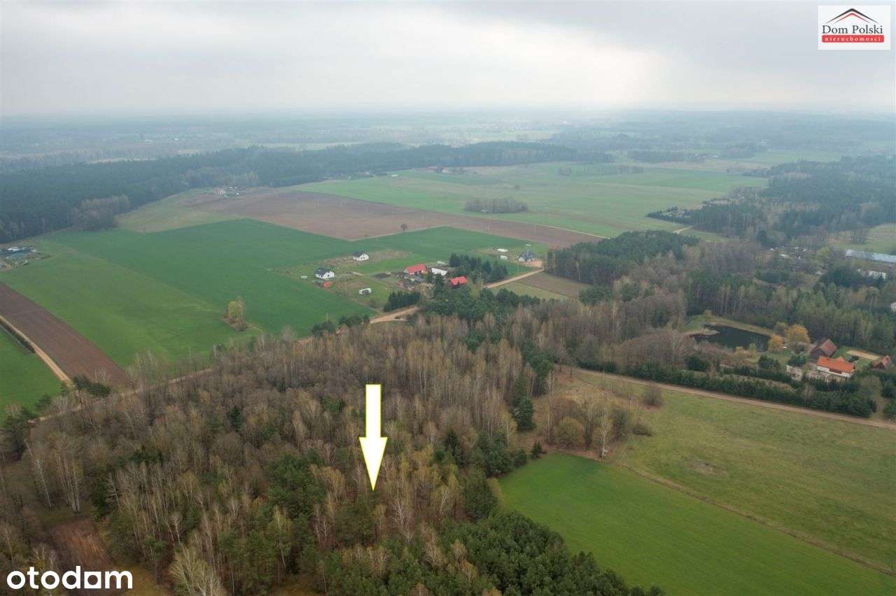 Działka w Piasutnie idealna pod Agroturystykę-4