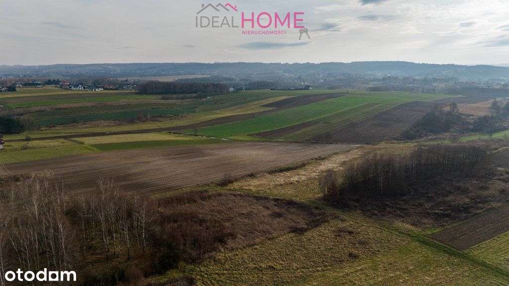 Działka na sprzedaż - Olchowa-1