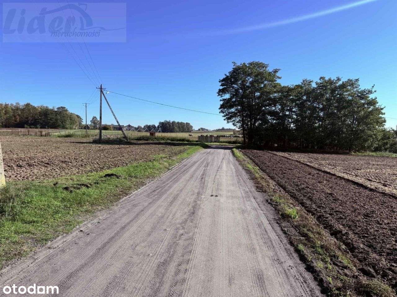 Działka, 2 099 m², Mrożewice-2