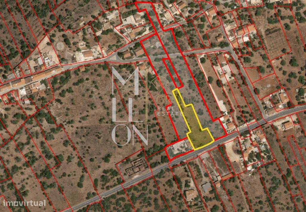 Oportunidade única de investimento! - Grande imagem: 4/4