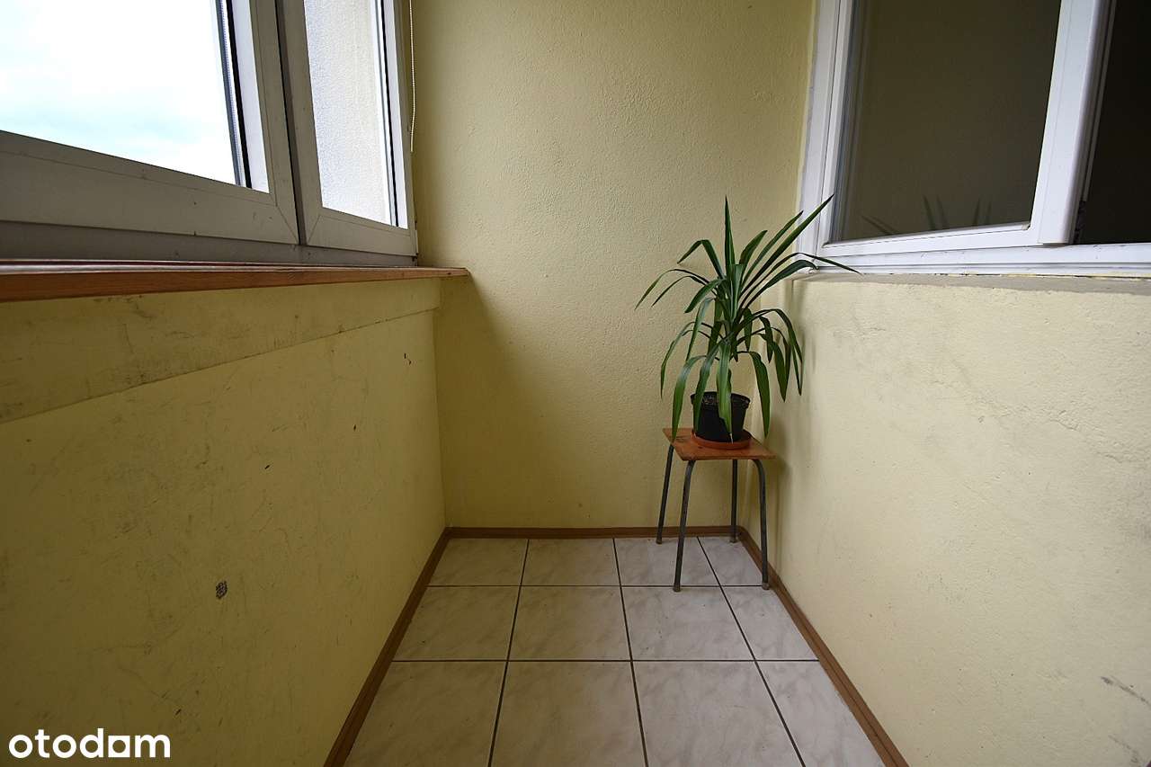 Mieszkanie 4 pokojowe na 2piętrze z loggia i ogrz miejskim-13