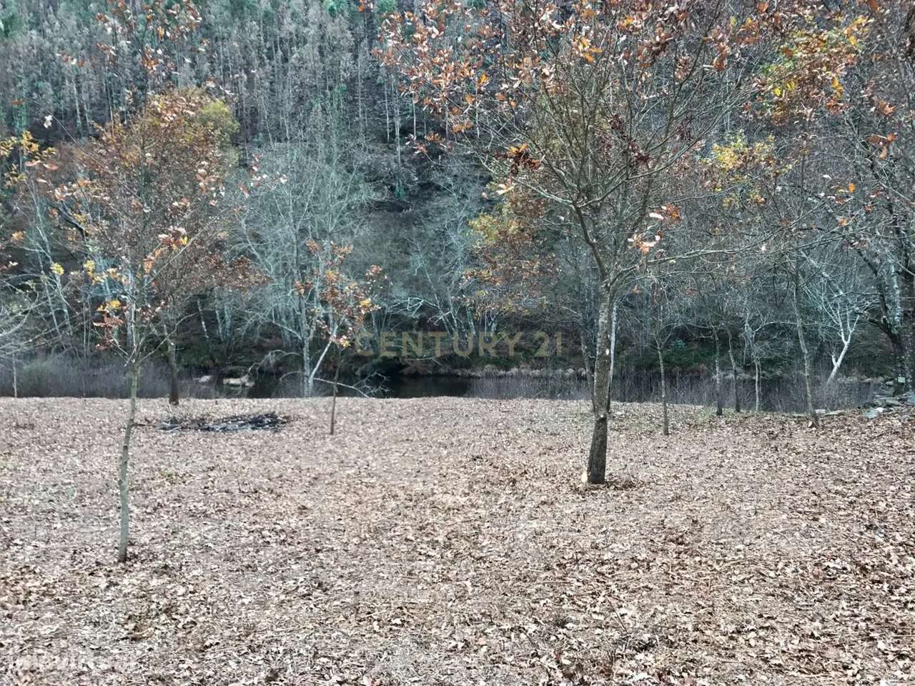 Terreno junto ao Rio Paiva - Grande imagem: 1/11