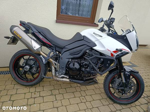 Triumph Tiger - 21