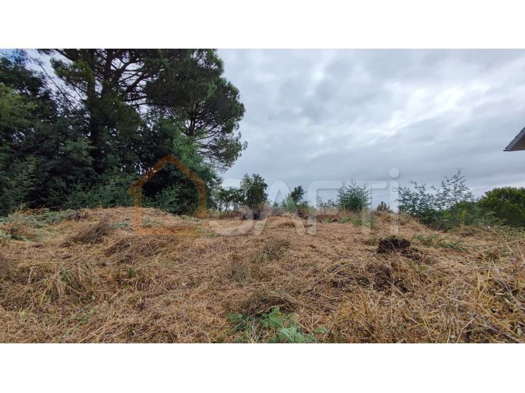 Terreno Urbano à Venda em Condeixa - Grande imagem: 5/7