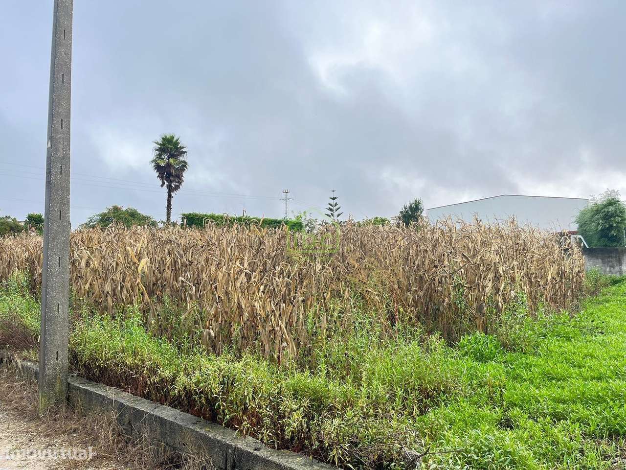 Terreno | Póvoa de Varzim - Grande imagem: 3/20