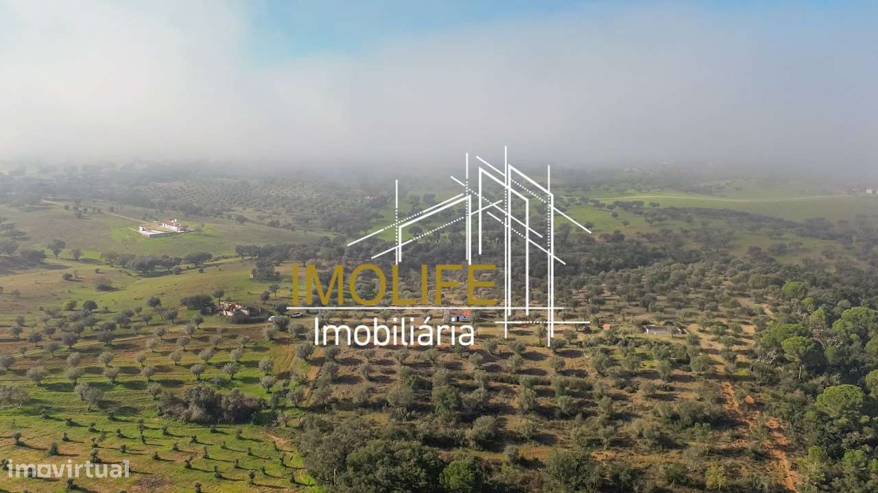 MONTINHO DO CHIADO - MALARRANHA - PAVIA-20