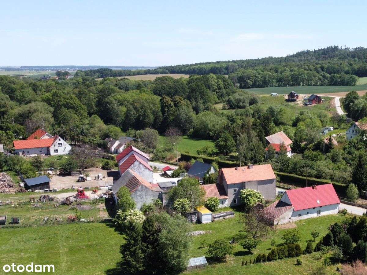 Dom do generalnego remontu z dużą działką-4