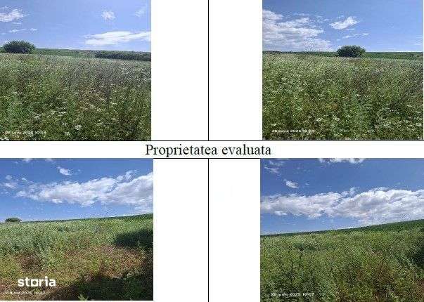 Teren Balteni, cota parte 1/4, ID: R2695268 - Imagine principală: 4/6