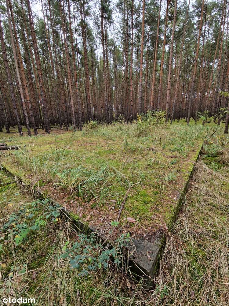 Miastko - działka  z projektem i fundamentami - bezpośrednio - Pełny obrazek: 4/9