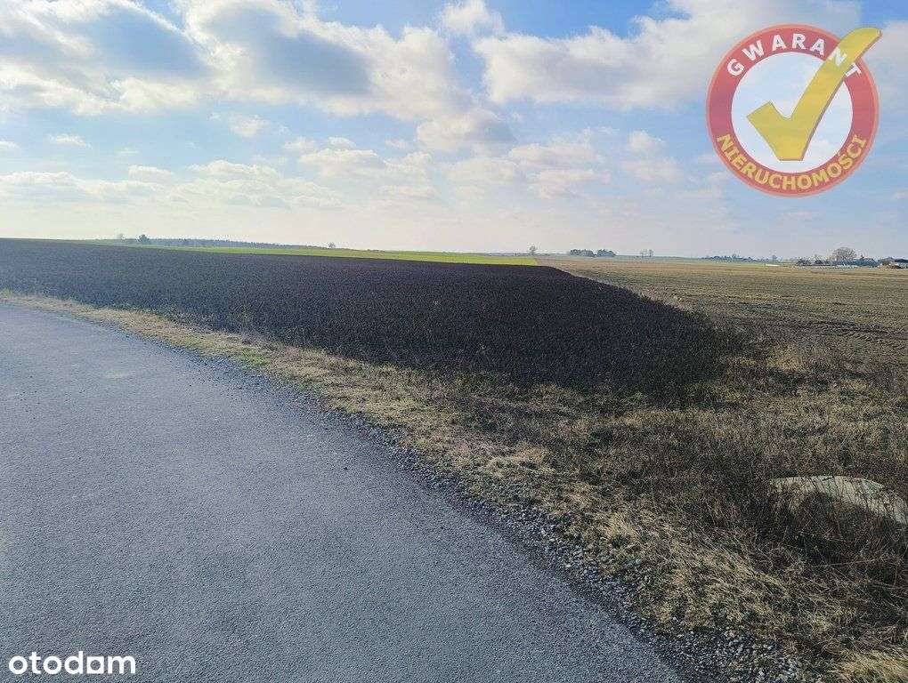 Działka W Dźwierznie 4495 M2 Blisko Chełmży !!! - Pełny obrazek: 5/5