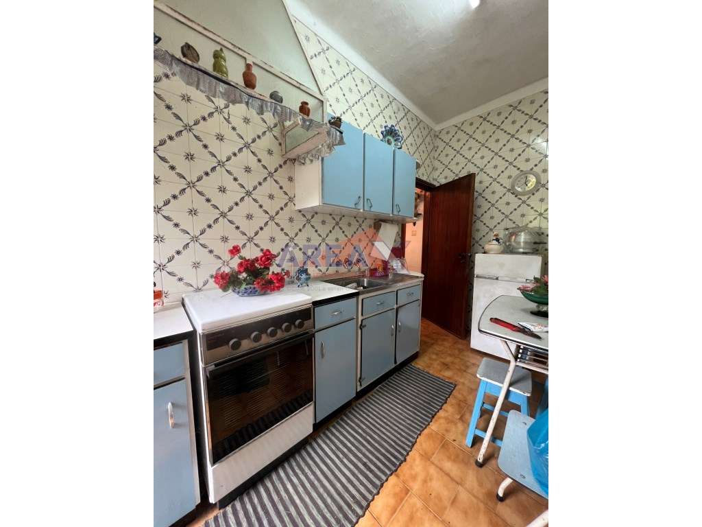 Oportunidade: 2 casas + artigo rústico com 2,0648 ha, perto de Oliv...-38