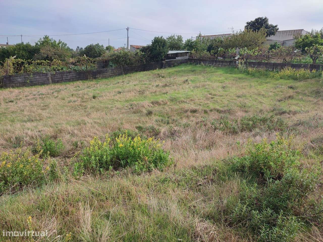 Lote de Terreno no Valongo em Castelo Branco - Grande imagem: 5/7