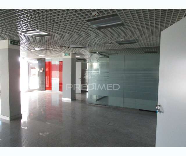 Loja de Comercio em Carrgal do Sal  ,Currelos, Papizios e Sobral - Grande imagem: 4/9